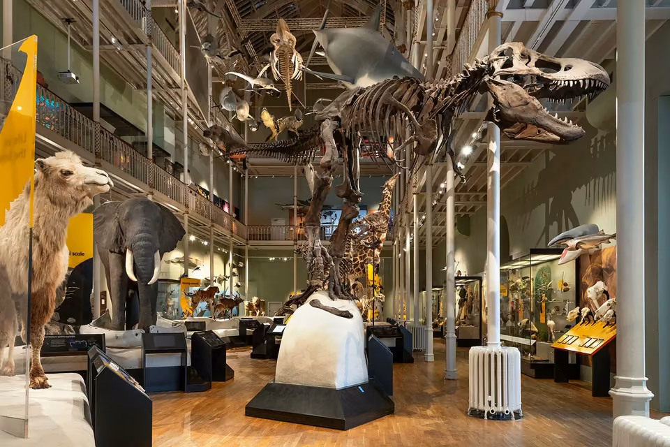 Inside the National Museum of Scotland