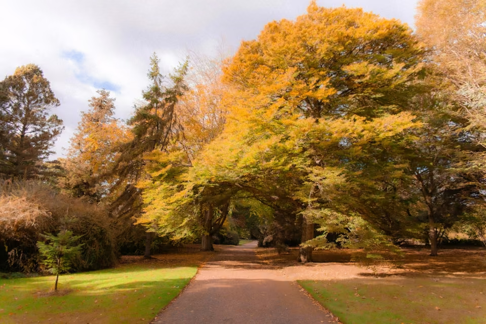 Le Jardin botanique avec la silhouette d’Édimbourg