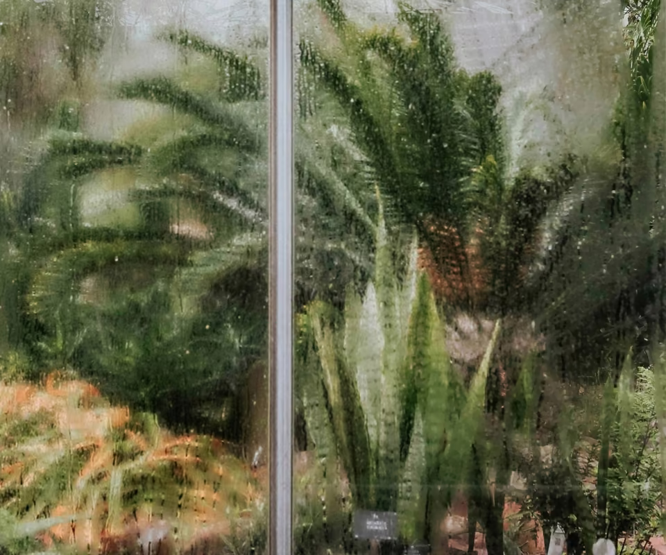 Le Jardin botanique royal d’Édimbourg
