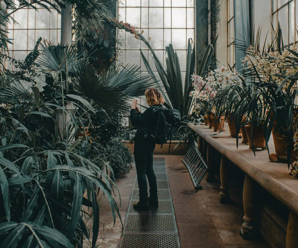À l’intérieur du Jardin botanique royal d’Édimbourg