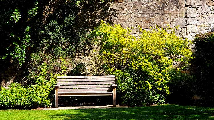 El Jardín Botánico con Edimbugo al fondo