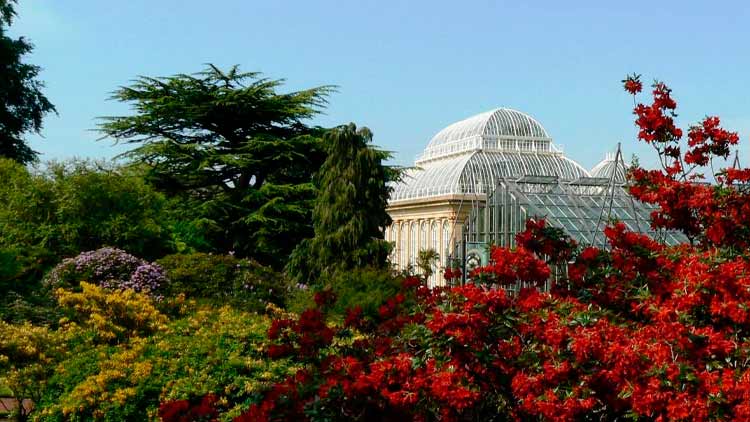 Vista del Jardín Botánico de Edimburgo