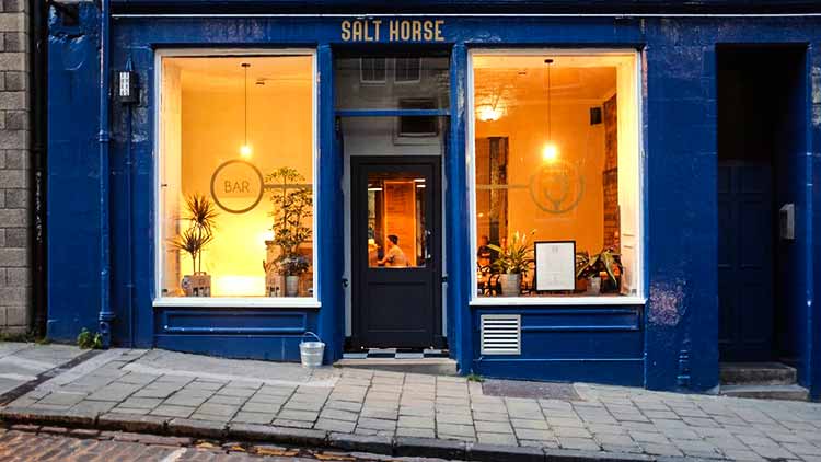 Salt Horse