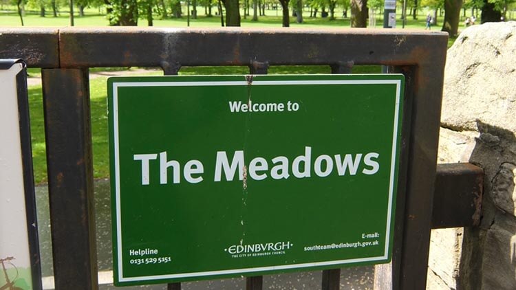 Cartel de The Meadows