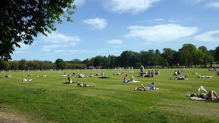 Parque de The Meadows