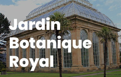 Jardin Botanique Royal